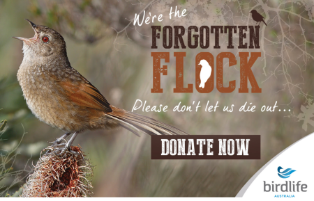 http://www.birdlife.org.au/current-appeal